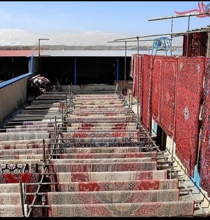 قالیشوی ساری شرکت ملل قالیشوی ساری شرکت ملل